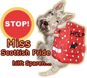 Miss Scpttish Pride hilft sparen!!!