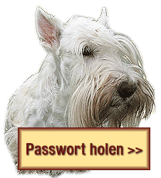 Passwort anfordern