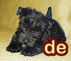 123.domain.de