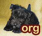123.domain.org